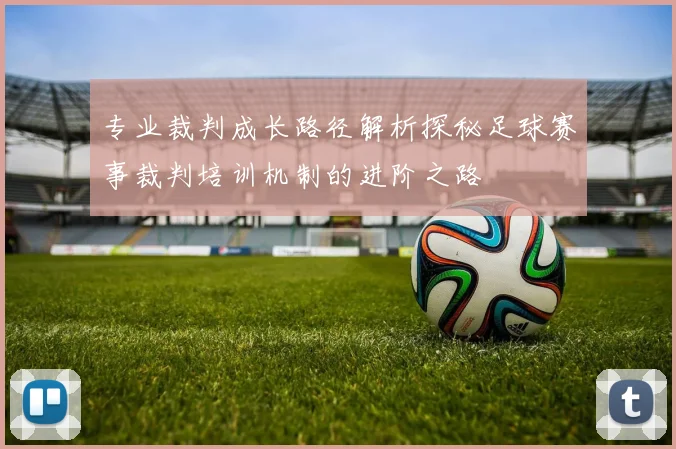专业裁判成长路径解析探秘足球赛事裁判培训机制的进阶之路