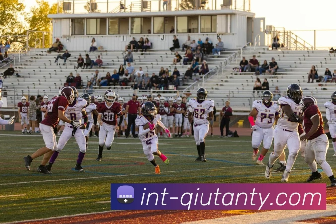 多媒体互动体验